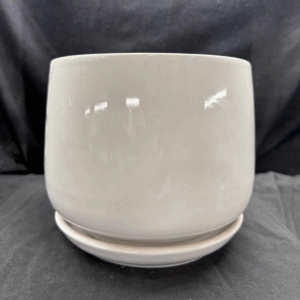 Botanical Basin Ceramic Pot