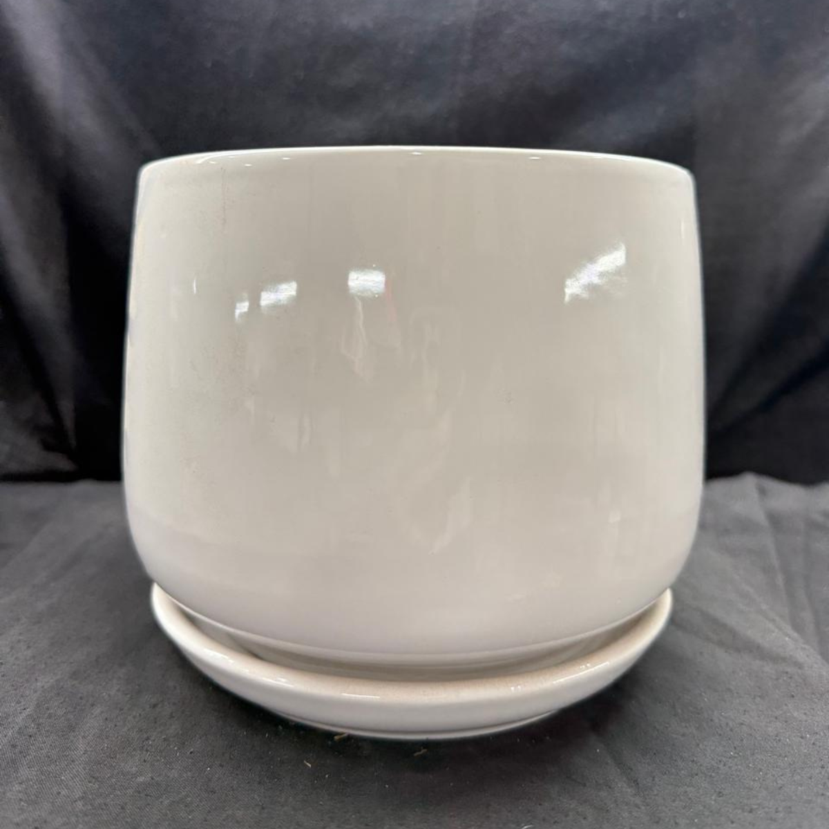 Botanical Basin Ceramic Pot